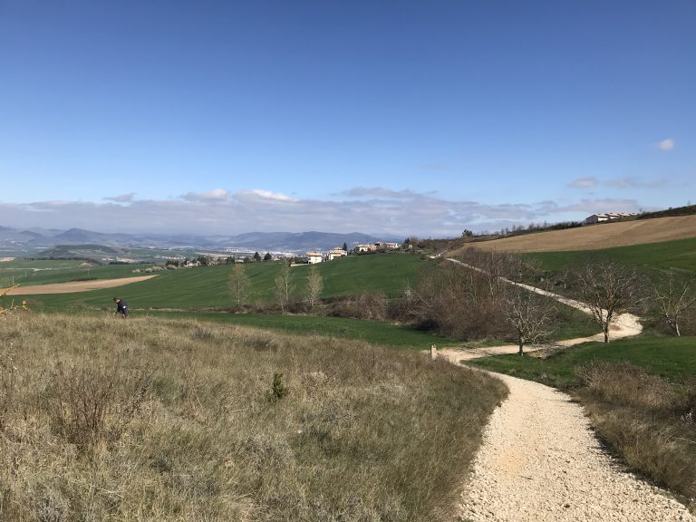 Camino Frances Spain